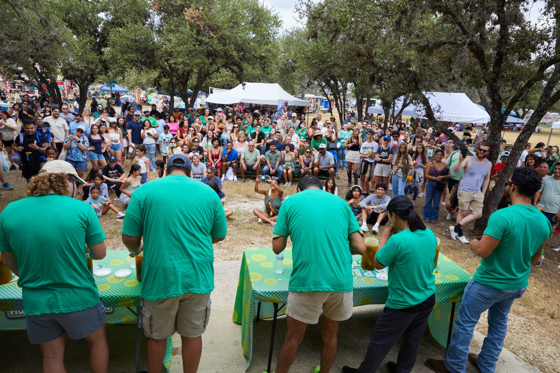 Crowd watching a festival contest