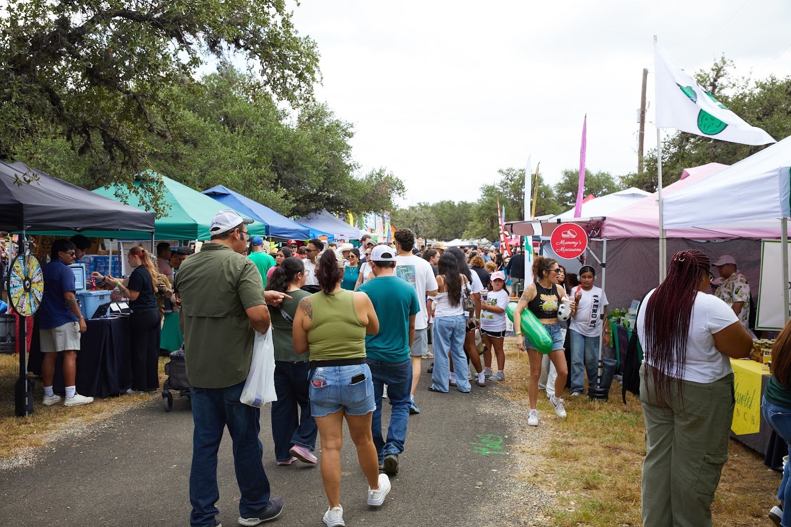 Visitors exploring festival booths