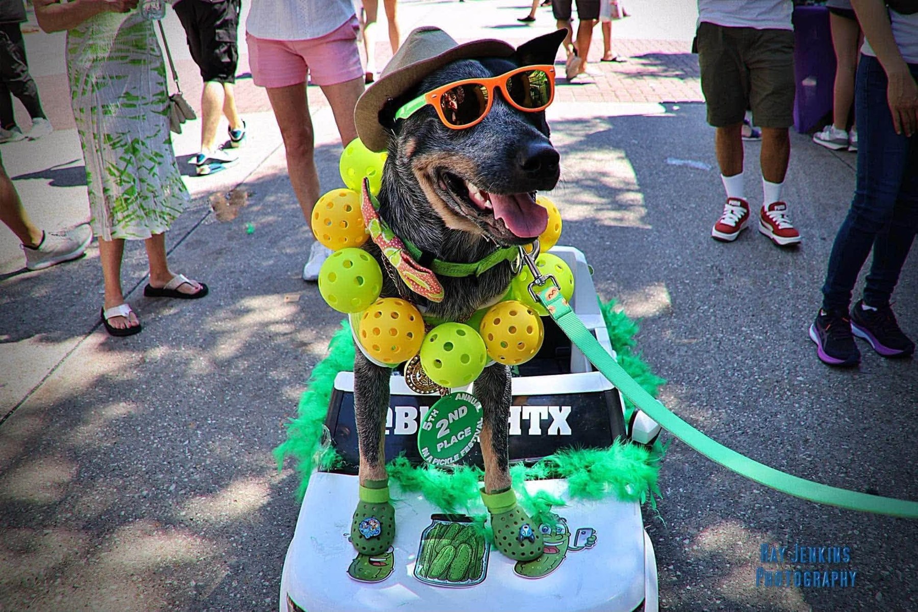 Dog in sunglasses, a cowboy hat and green shoes